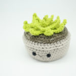 Free succulent amigurumi crochet pattern
