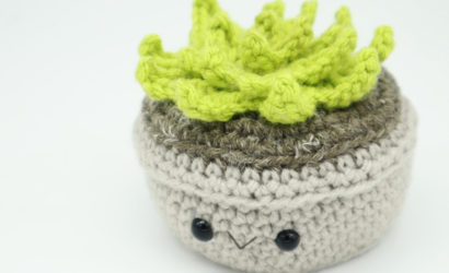 Free succulent amigurumi crochet pattern